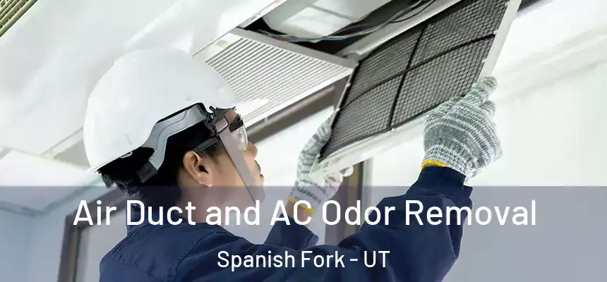 Air Duct and AC Odor Removal Spanish Fork - UT