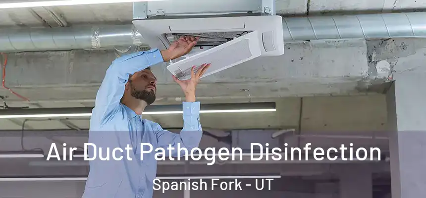  Air Duct Pathogen Disinfection Spanish Fork - UT