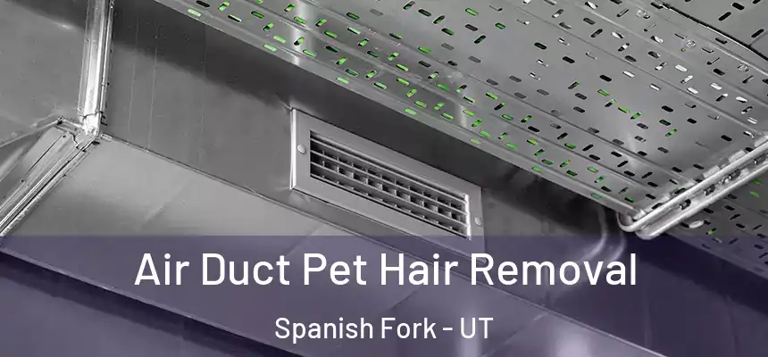  Air Duct Pet Hair Removal Spanish Fork - UT