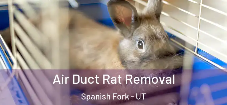  Air Duct Rat Removal Spanish Fork - UT