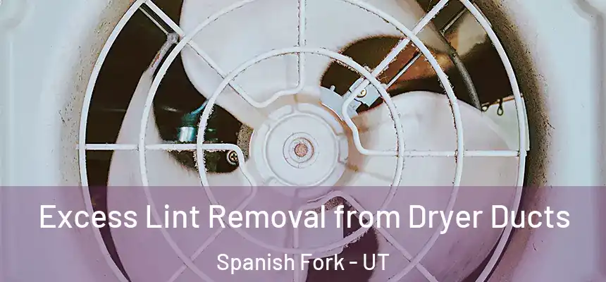  Excess Lint Removal from Dryer Ducts Spanish Fork - UT