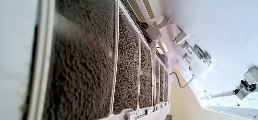 Preventive Air Duct Bacteria Removal in Spanish Fork