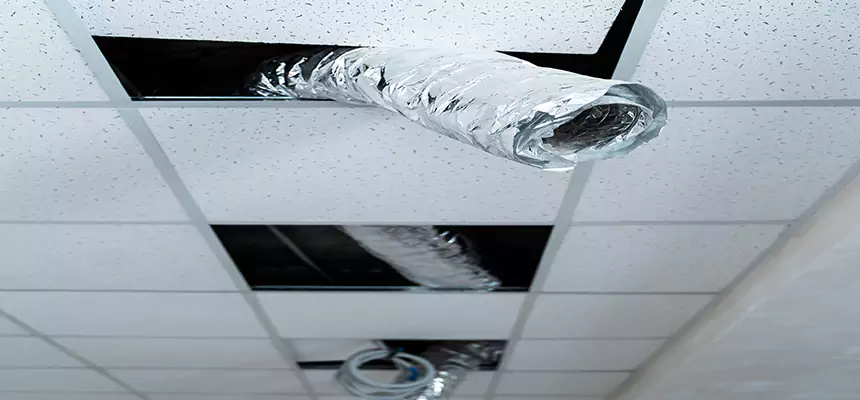 Affordable HVAC Sanitizing After Pest Removal in Spanish Fork