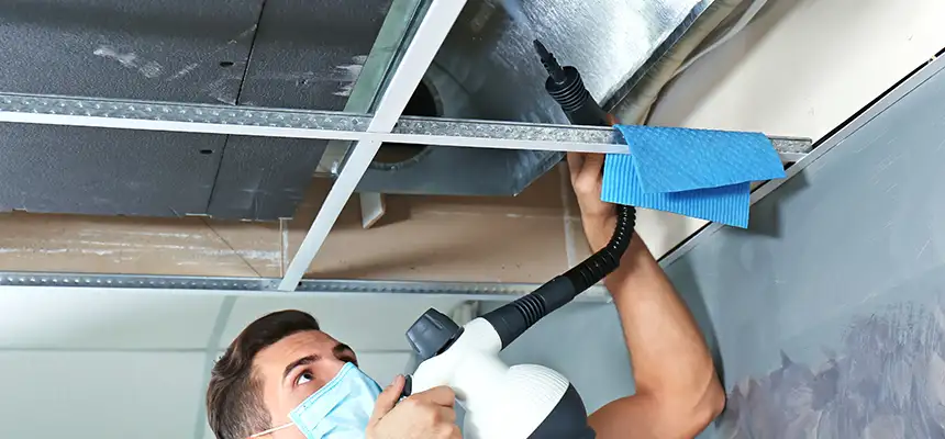 Our Air Duct Rodent Removal Services in Spanish Fork, UT