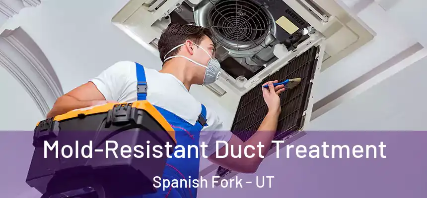 Mold-Resistant Duct Treatment Spanish Fork - UT