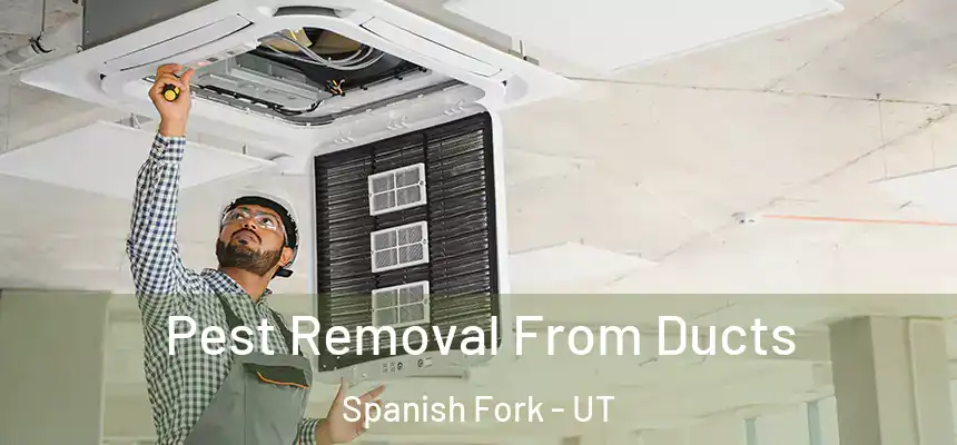  Pest Removal From Ducts Spanish Fork - UT