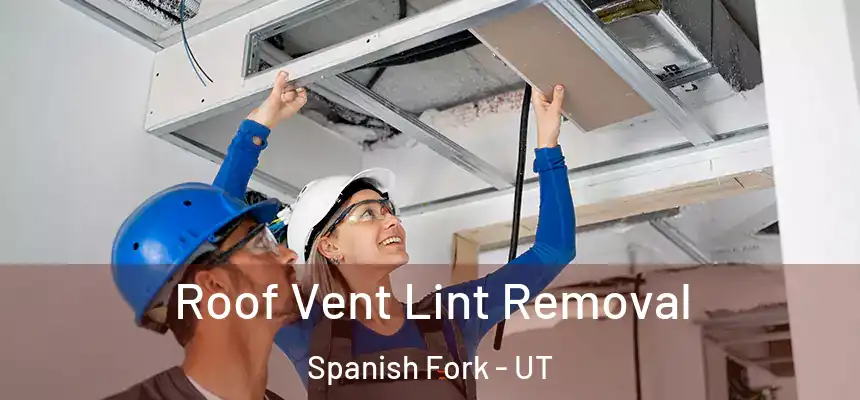 Roof Vent Lint Removal Spanish Fork - UT
