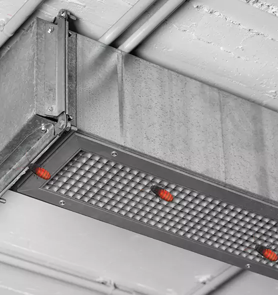 Affordable Insect Removal from Air Ducts in Spanish Fork, UT