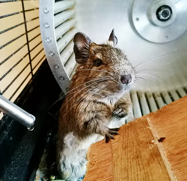 Why Homeowners & Businesses Trust Us Spanish Fork, UT?